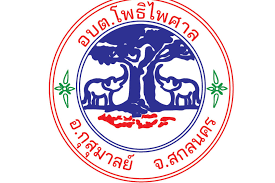 โครงการก่อสร้างถนนคอนกรีตเสริมเหล็กภายในหมู่บ้าน บ้านนาดี หมู่ที่ ๑